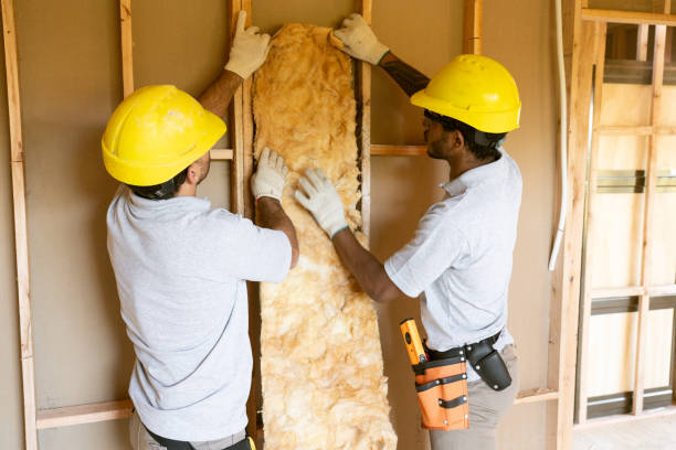 Best Insulation Contractors for Homes  in Pepeekeo, HI