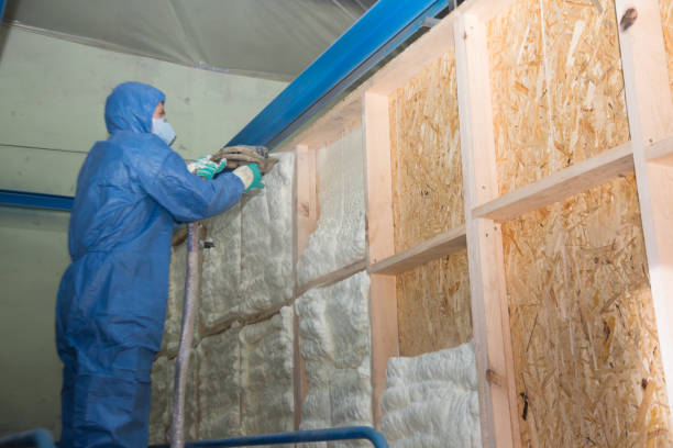 Insulation Inspection Services in Pepeekeo, HI